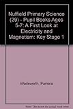 A first look at electricity and magnets : science processes and concept exploration
