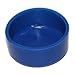 Rust-O-Less (Blue, Regular-Gel Sized, 2 Pack