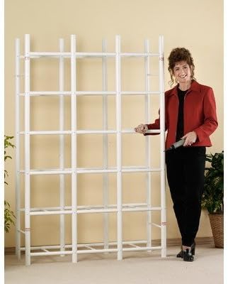 Bin Warehouse DFAE2MBFBW0618 File Box Storage System that Holds 18 File Boxes by Bin Warehouse Storage Systems