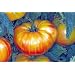 Pineapple Tomato 30 Seeds