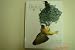Books : Biology Life on Earth