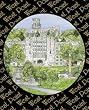 West Point Military Academy "Army" - Collegiate Sculptured Night Light