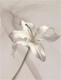 Stargazer Judy Mandolf 8x10