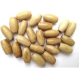 Genuine Hairpipe Bone; Teastained/Antiqued; size Half Inch, 50 pcs Hair Pipe Choker Beads