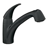 Moen 7560BL Extensa One-Handle Low Arc Pullout Kitchen Faucet, Matte Black by Moen