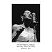 Billie Holiday (Ted Williams Collection, Newport Jazz Festival 1958) Music Poster - 11x17