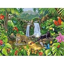 In the Jungle 500 pc