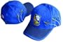 Citizen Blue Angels Cap