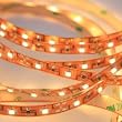 Waterproof FLexible LED Strip, 5050 SMD Crystal Ribbon Warm White 12V(5M/Reel) 6200K,5050WW