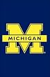 University of Michigan Flag - Garden Size