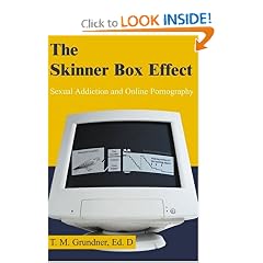 The Skinner Box Effect: Sexual Addiction and Online Pornography