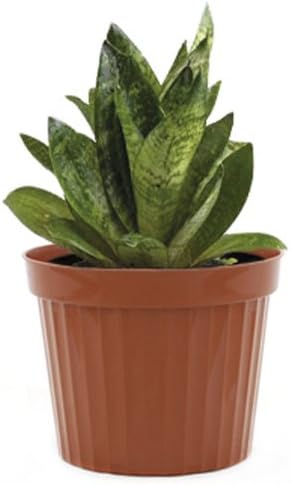 Plastic Decorative Pots #2 Terracota