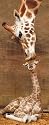 Ravensburger 15115 - The First Kiss, Giraffe - 1000 Teile Panorama Puzzle