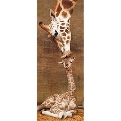 Ravensburger 15115 - Giraffe: The First Kiss - 1000 Teile Panorama Puzzle