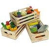 Healthy Eating Fish Set