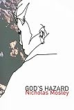 God's hazard : a novel