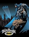DC COMICS BATMAN THE DARK KNIGHT TIN SIGN