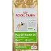 pug15 - Royal Canin MINI Pug 25 Dry Dog Food
