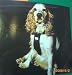 Hunde Sicherheitsgurt f�r den R�cksitz in S / M
