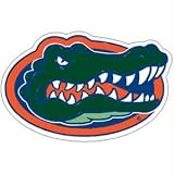 Florida Gators NCAA Precision Cut Magnet