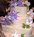 Gourmet Food : Rolled Fondant - Ivory - 1 kg