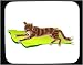 Decorated Mouse Pad with cat, lying, tabby