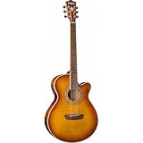 Washburn EA15ITB Festival Series Mini Jumbo Acoustic-Electric Guitar, Ice Tea Burst Finish