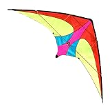 DUAL LINE CONTROL 81" STUNT KITE SPORT TRICK KITE