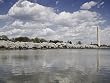 Cherry Blossom Panorama, Washington, D.C. Photograph - Beautiful 16"x20" Photographic Print by Carol M. Highsmith