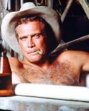 The Fall Guy 12x16 Matte Color Photo (Lee Majors)