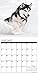 Just Siberian Huskies 2017 Wall Calendar (Dog Breed Calendars)