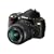 Nikon D60 10.2MP Digital SLR Camera Black Gold Special Edition (Body Only)