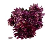 Silk Bouquet 9 Purple Pom Pom Flowers Crafts Decorations