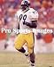 Levon Kirkland Pittsburgh Steelers 8x10 Photo
