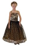Cheetah Girls Ballgown Halloween Costume Dress Up