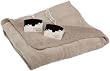 Biddeford 100% Poly Knit Queen Linen MicroPlush Heated Blanket