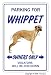 WHIPPET ~Novelty Sign~ dog pet parking signs gift hound