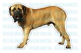 MASTIFF - Dog Decal - sticker dogs car got window