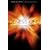 Genesis One: A Scientific Perspective