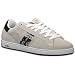 Etnies Men's Ali Skating Sneakers