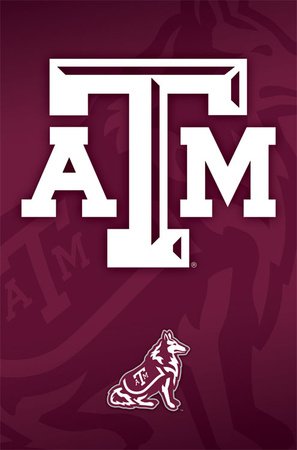 texas bowl logo
