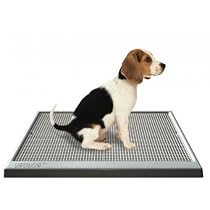 UGODOG - Dog/Puppy House Training Potty Aid