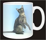 Review Advanta  / ASIAN BLACK SMOKE Cat Coffee Mug