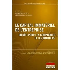 Le capital immat�riel de l'entreprise : Un d�fi pour les comptables et les managers