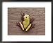 A Brightly Colored Tree Frog on a Piece of Wood National Geographic Collection Framed Art Poster Print by Bill Curtsinger, 22x18