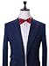 Tok Tok Designs® Handmade Men's Bow Tie - B26 (Silky Navy & Red)