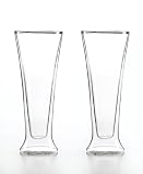 Luigi Bormioli DUOS Double Wall 14-Ounce Pilsner Glass, Set of 2