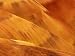 Painted Hills, John Day Fossil Bed National Monument, Oregon, USA Photographic Poster Print by Adam Jones, 18x24