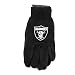 Oakland Raiders 