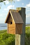 Starter Home Birdhouse